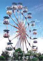 amusement rides/amusement park/ferris wheel: ARFW001