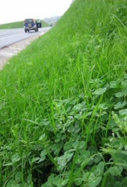 Highways Edge Hydroseedi̇ng