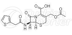 Cefalotin sodium sterile