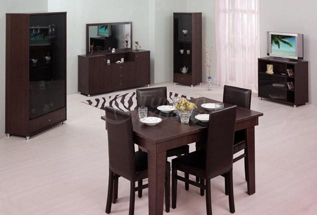 VIZYON DINING ROOM SET
