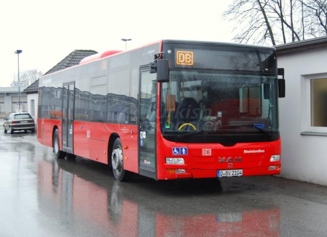 Bus Lion's City