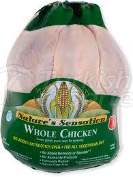 Halal whole frozen chicken