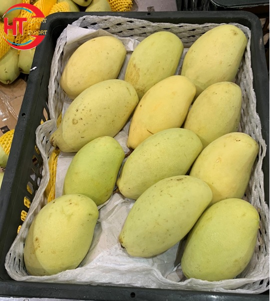 Fresh Keo Mango Acacia Mango