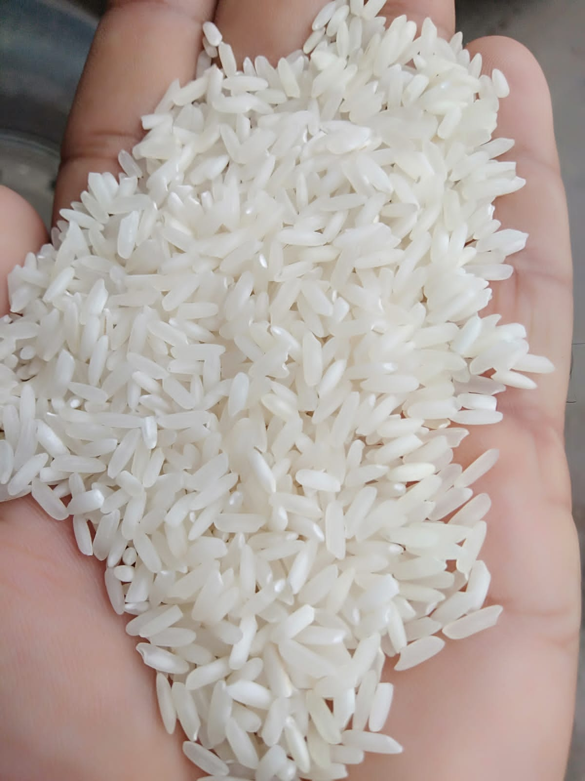 INDIAN RICE