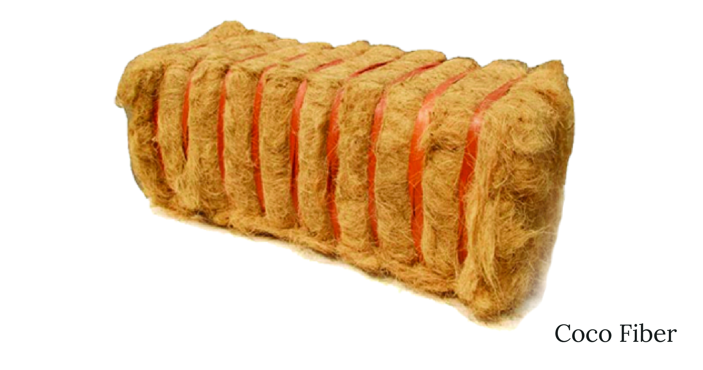 Coir Fiber