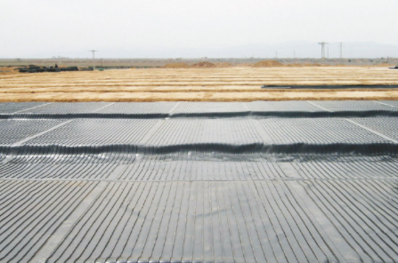 T-Grip Geomembrane