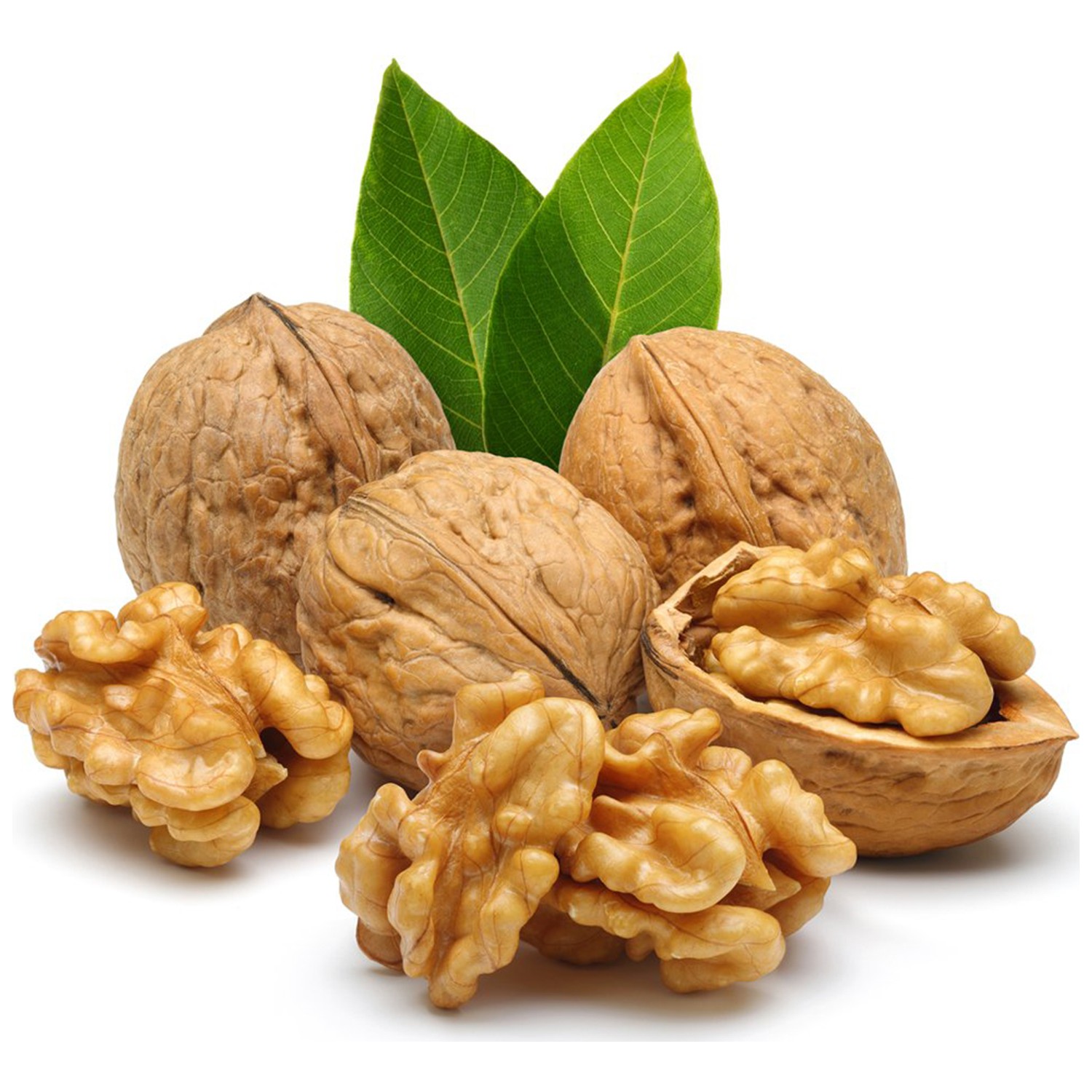 Walnut