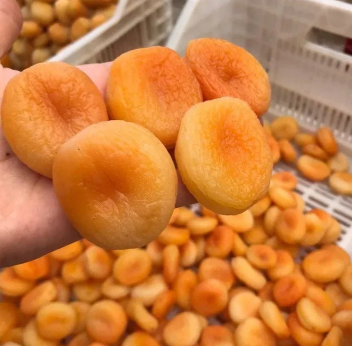 DRIED APRICOTS