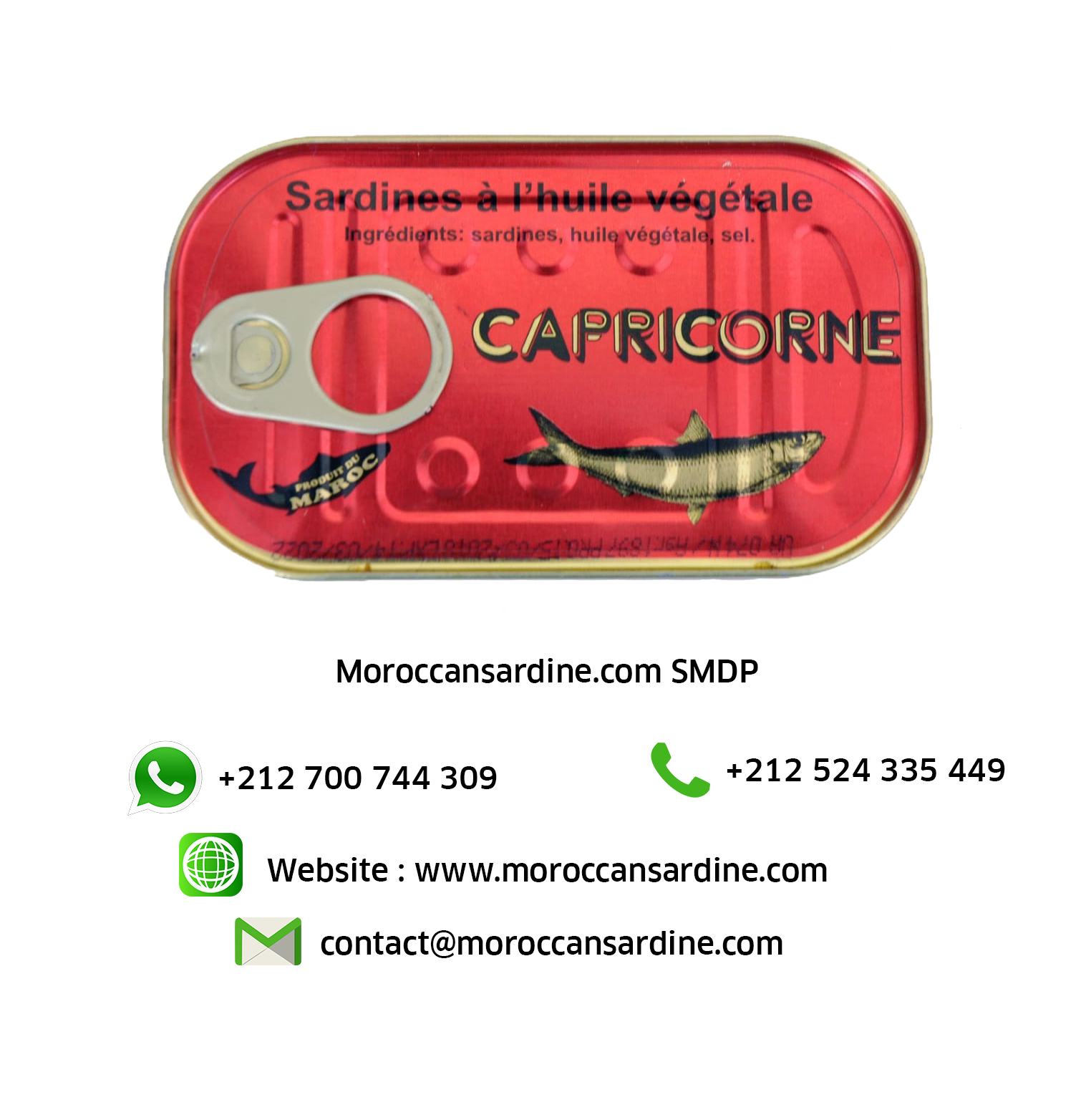 Moroccan sardines export 