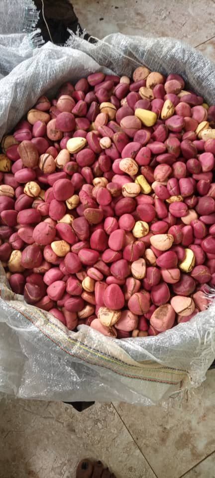 Kolanuts