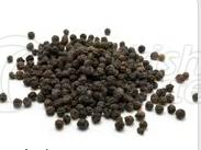 Black Pepper