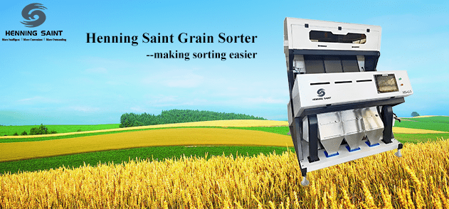 Henning Saint grains  deep learning color sorter