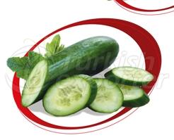 Cucumber