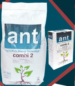 ant combi