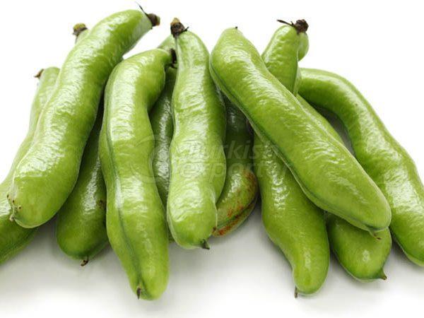 Broad Bean