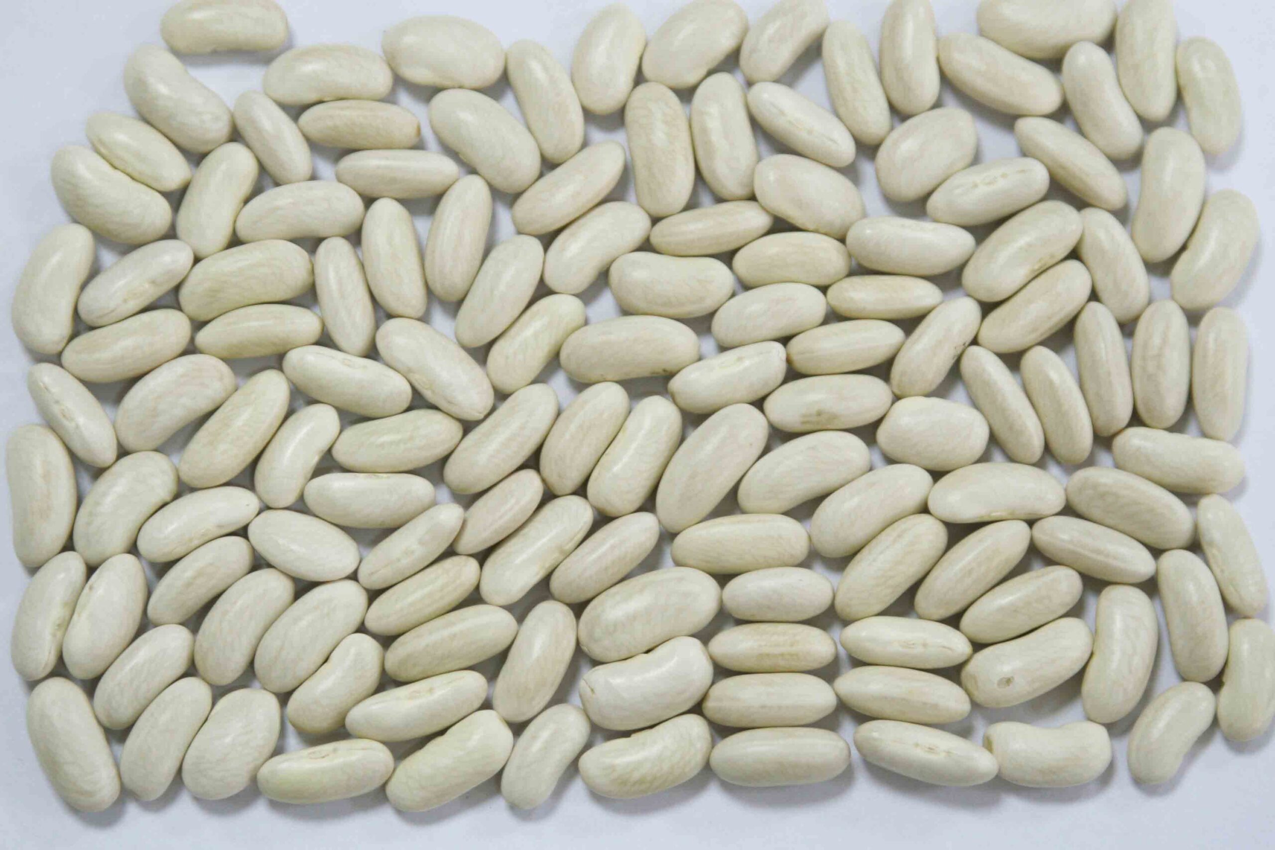 White Kidney Beans