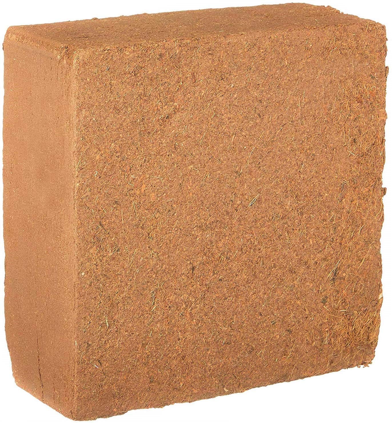 coco peat block