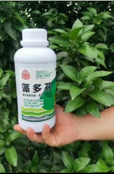 Algae polyphenols fertilizer (Foliar fertilizer) seaweed extract fertiliser