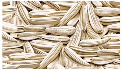 Sunflower Seed
