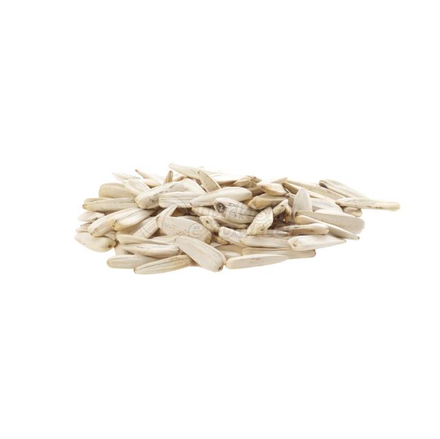 White Sunflower Seeds