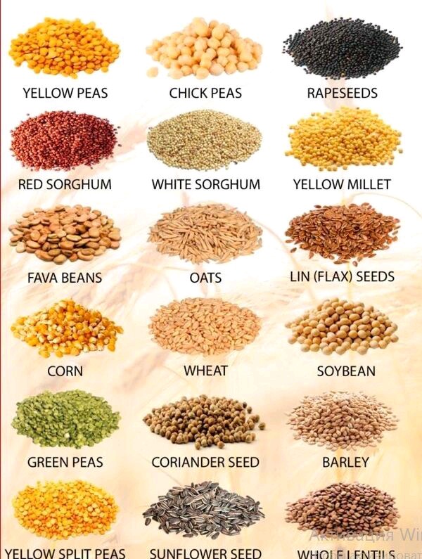 Pulses