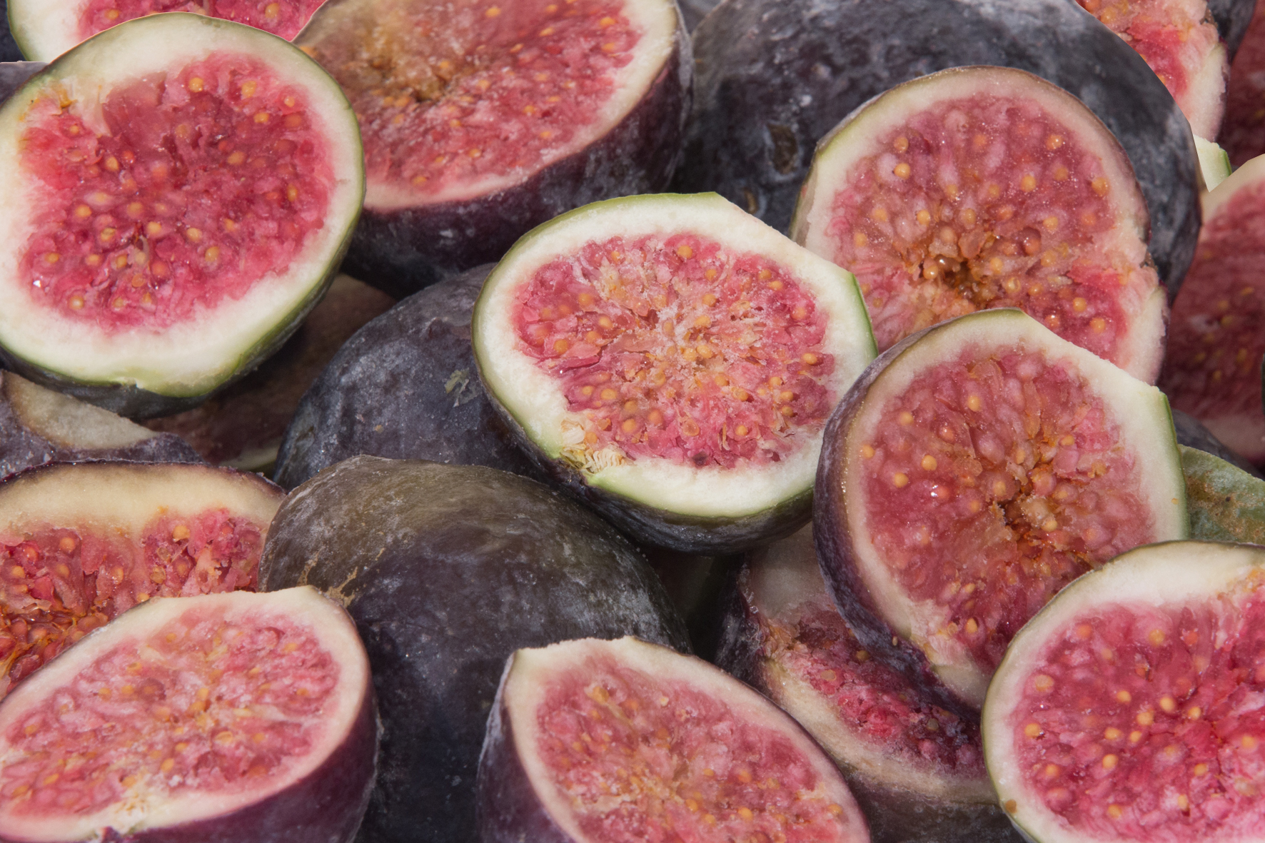 ORGANIC PURPLE FIG