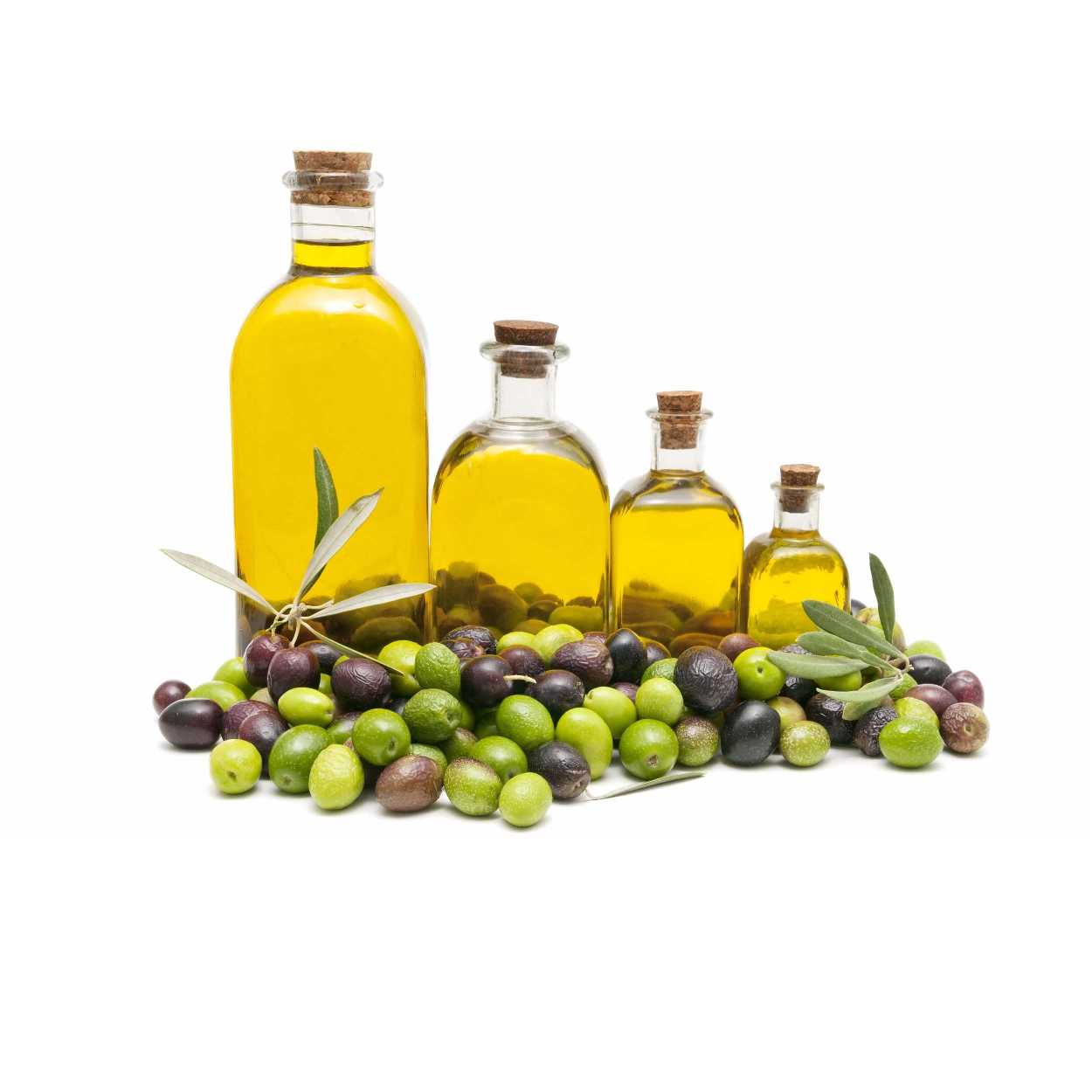 Olive Oil 