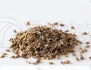 Aniseeds