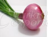 Red Onion