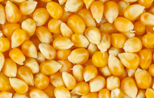 Corn 