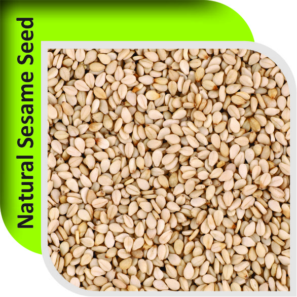 NATURAL SESAME SEEDS