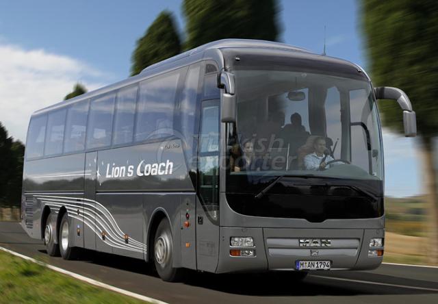 Coach Lion's Coach - Lion's Coach-L