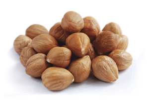 Hazelnut Kernel