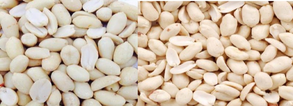 Blanched Peanuts