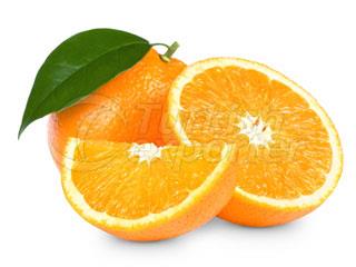 Washington Navel Orange