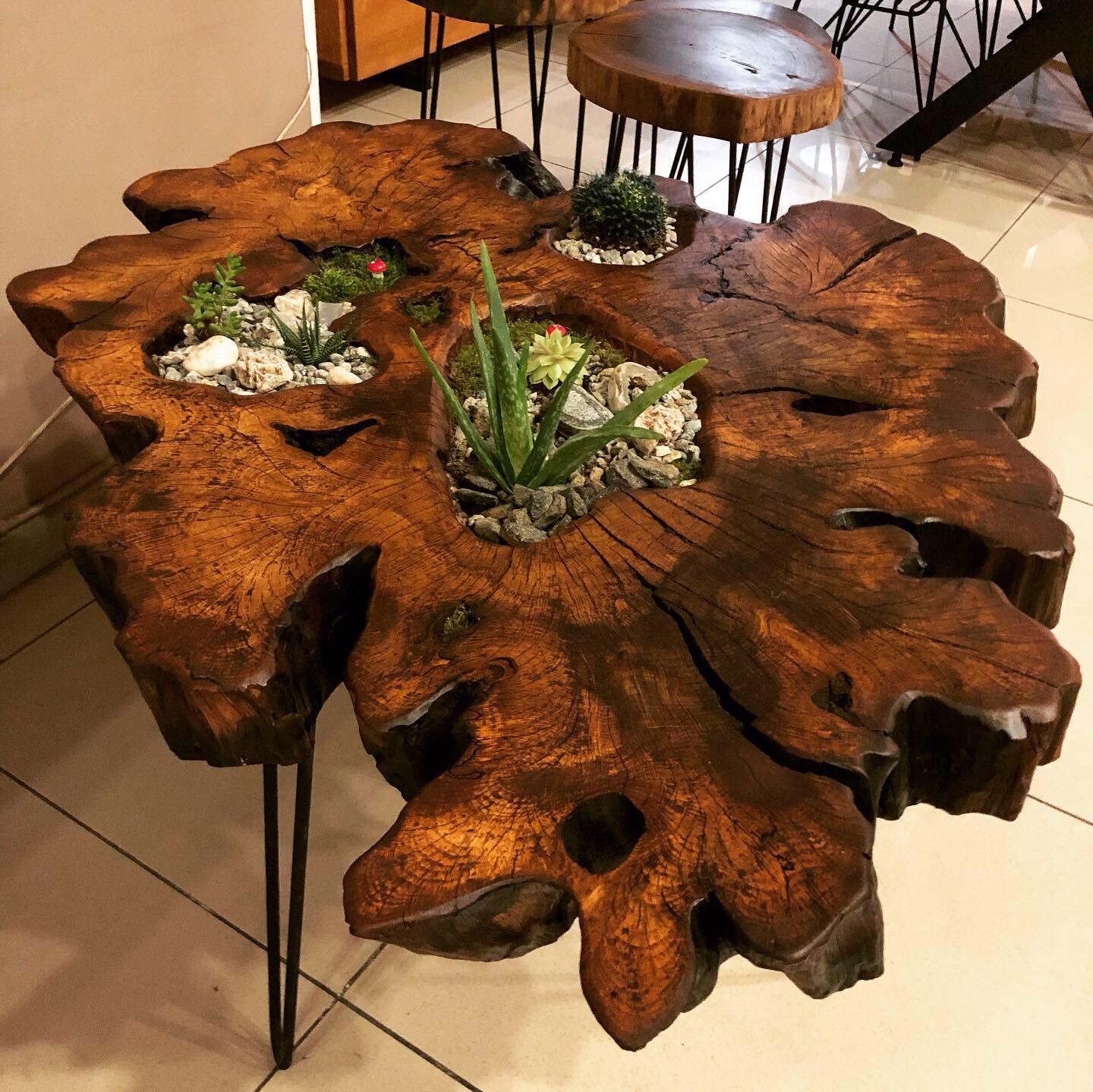 coffee table, accessorie