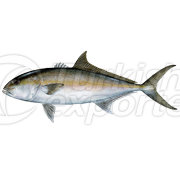 Leer Fish