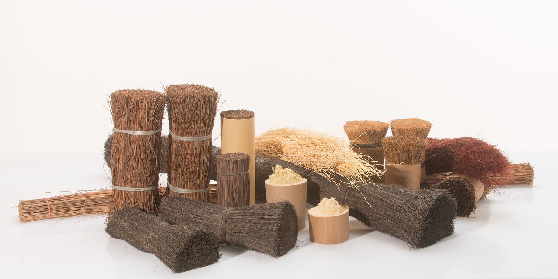 Tampico fiber and Palmyra fiber for brush making