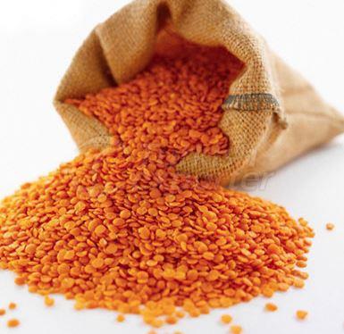 Red Lentil