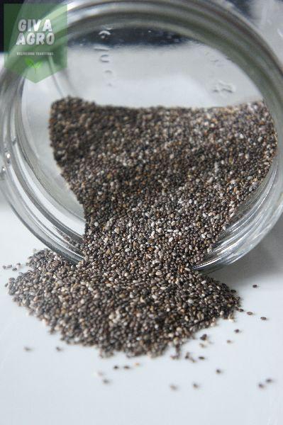 Organic Chia Seeds