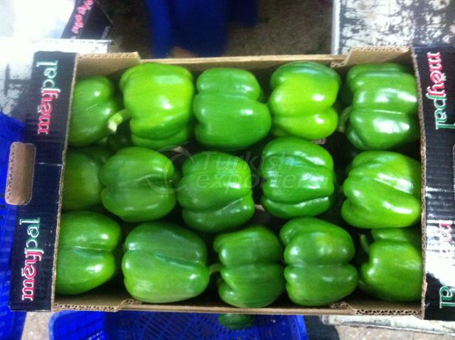 Green Pepper