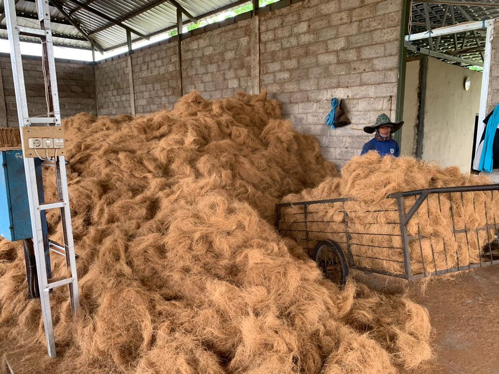 Coir / Cocofiber / Coconut Fiber