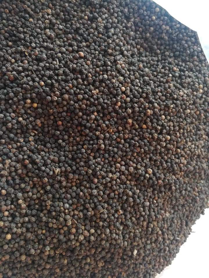 BLACK PEPPER 