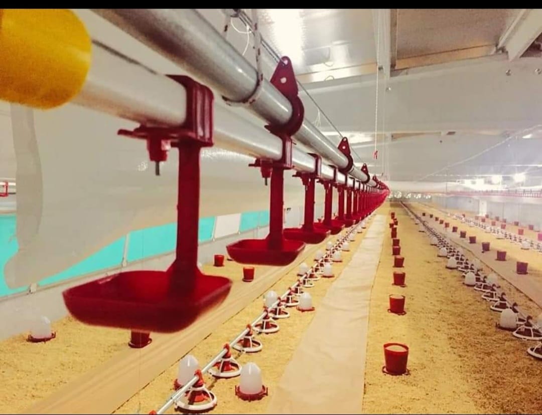 CHICKEN POULTRY NIPPLES DRINKING SYSTEMS ( Broiler Nipple Drinking Systems )