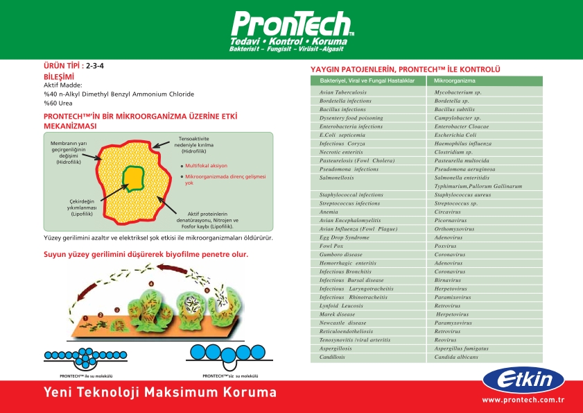 Prontech Disinfectant