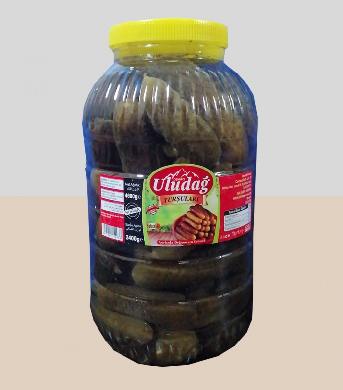 4600 gr cucumber pickle