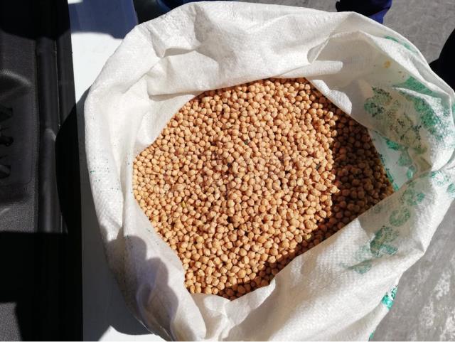 Chickpeas