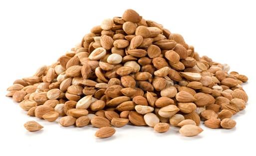 Apricot Kernels