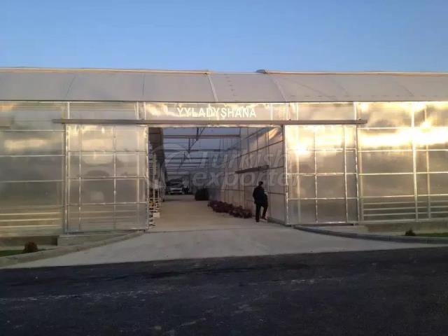 Greenhouse