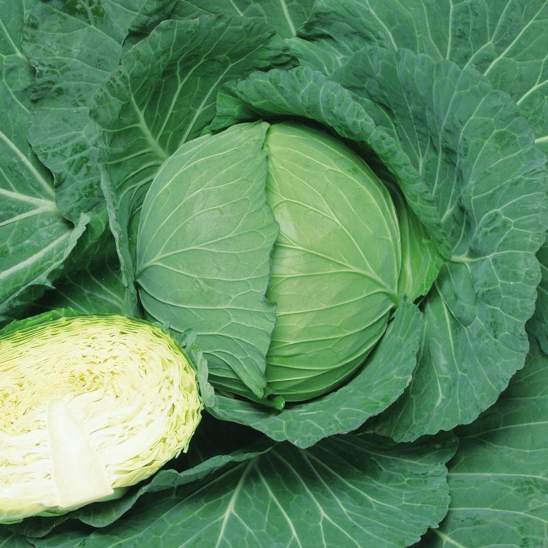 Super Cabbage